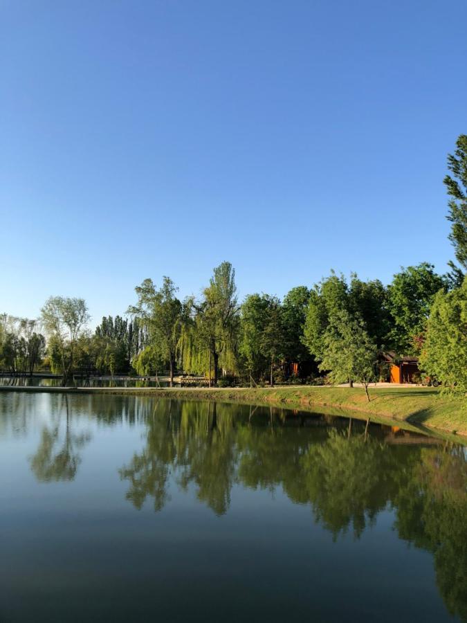 Chalet B&B Laghetti Martina Crevalcore 外观 照片