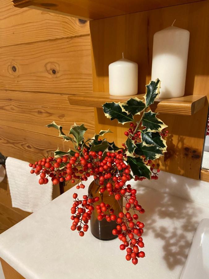 Chalet B&B Laghetti Martina Crevalcore 外观 照片